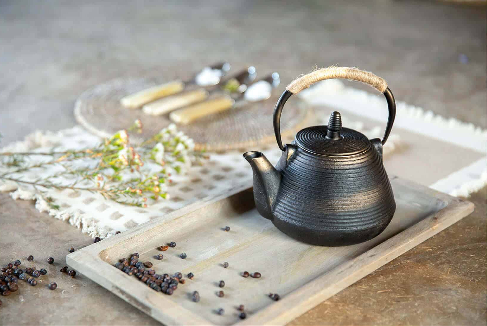 Flamant Ekon Teapot 1,0 L