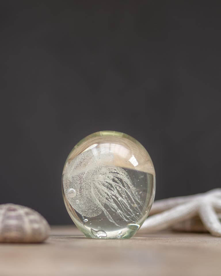 Chehoma glass paperweight with white jellyfish