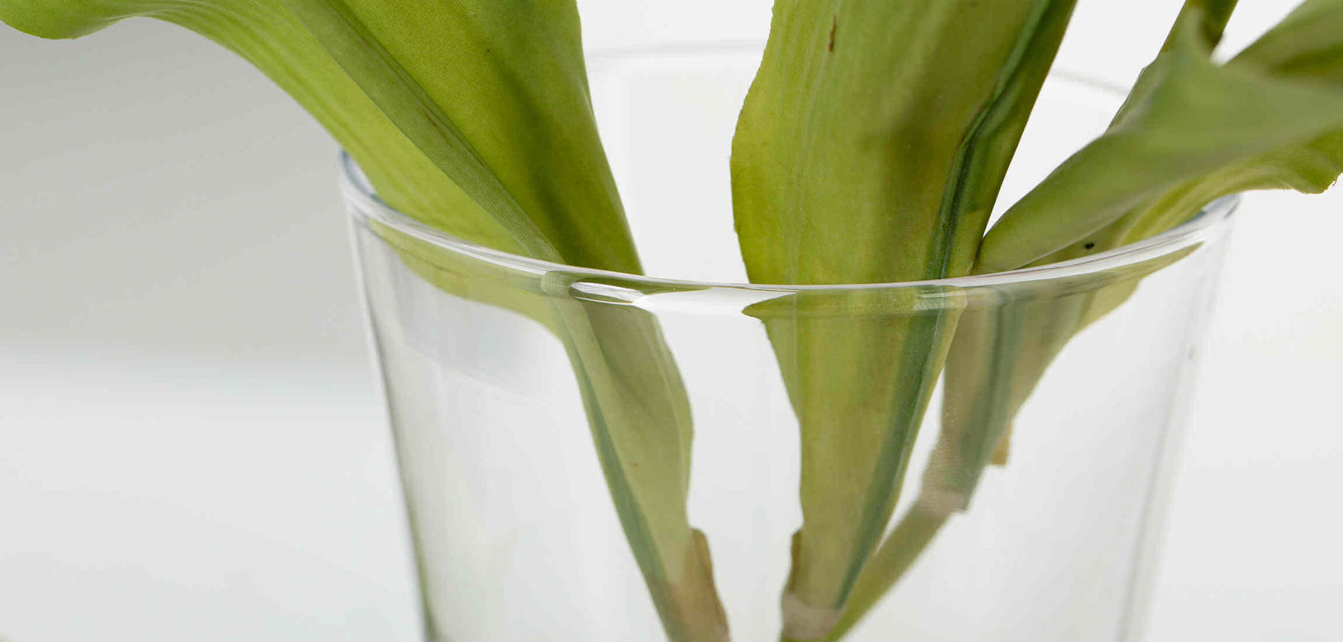 Flamant ori vase