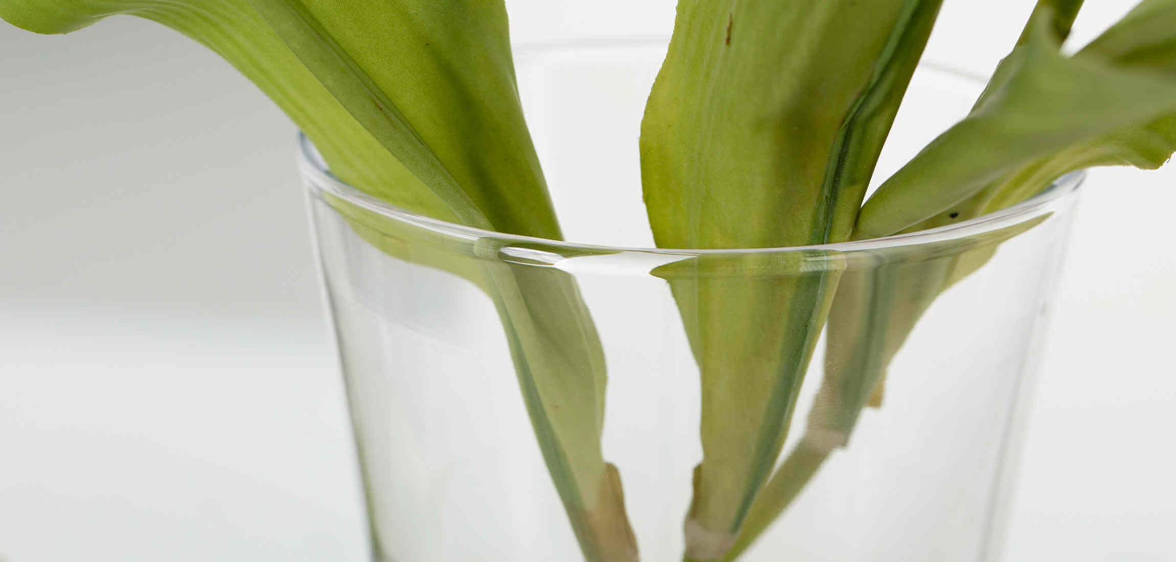 Flamant ori vase