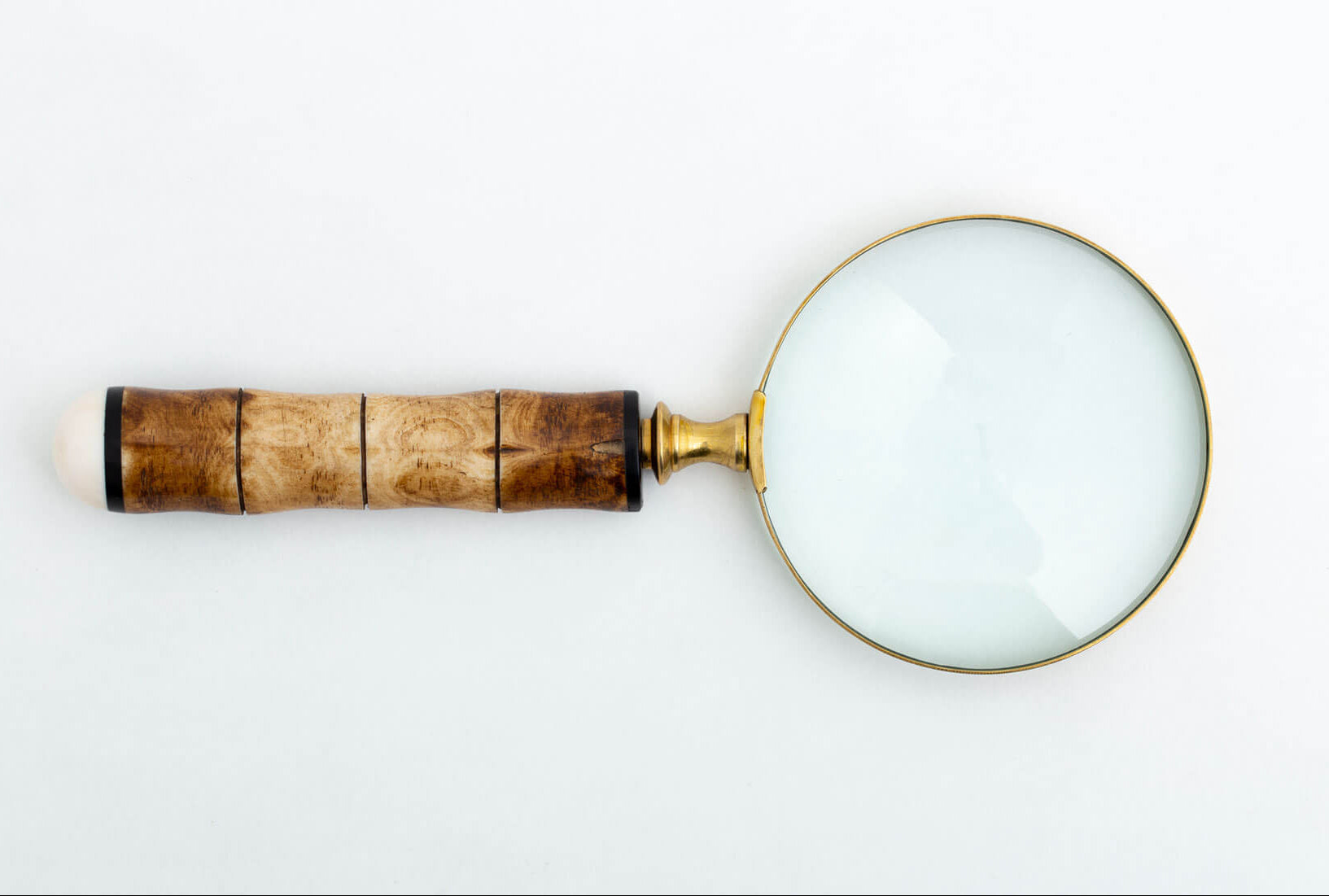 Flamant anemoon Magnifying Glass
