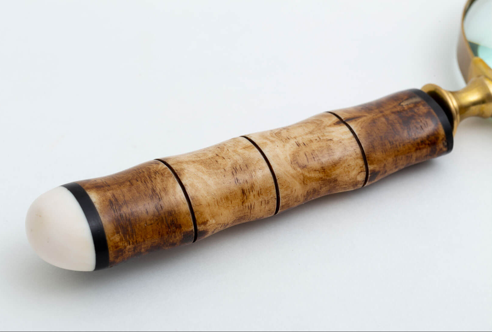 Flamant anemoon Magnifying Glass