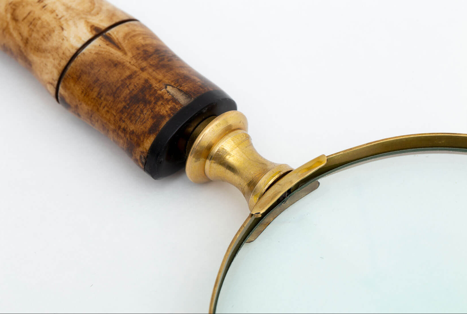 Flamant anemoon Magnifying Glass