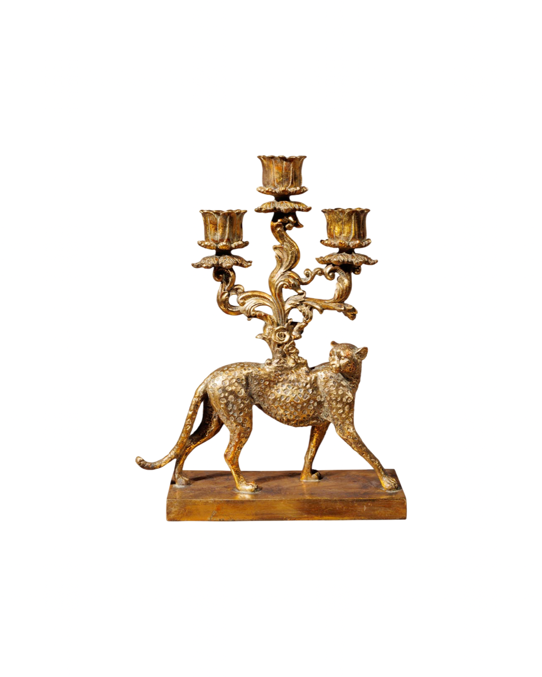 Candelabrum golden cheetah