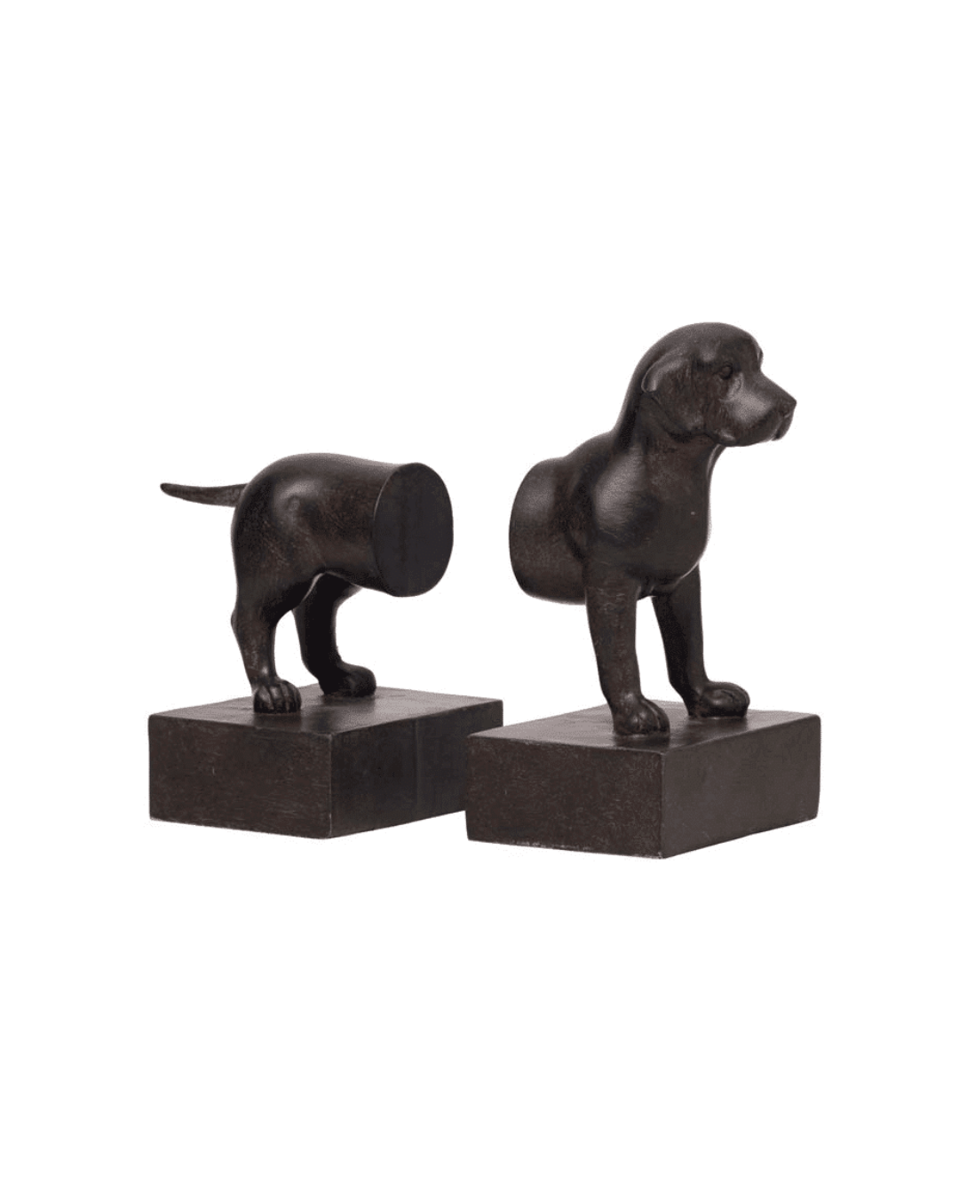 Beagle book ends