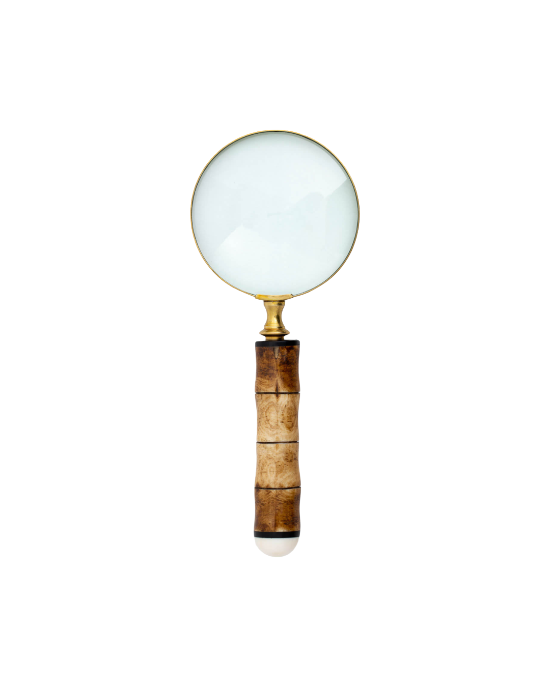 Anemoon Magnifying Glass
