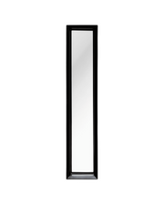 Vertical Mirror