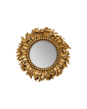 Golden mirror plumage