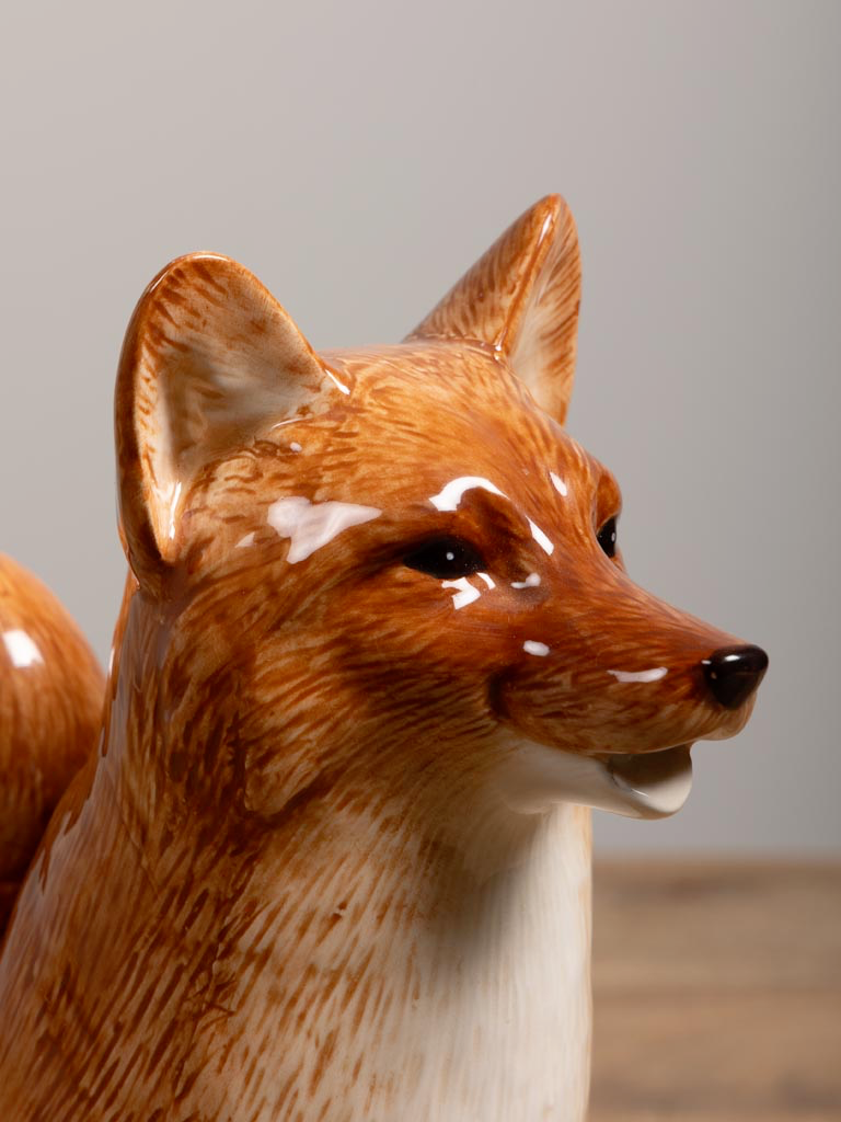 Fox pitcher
