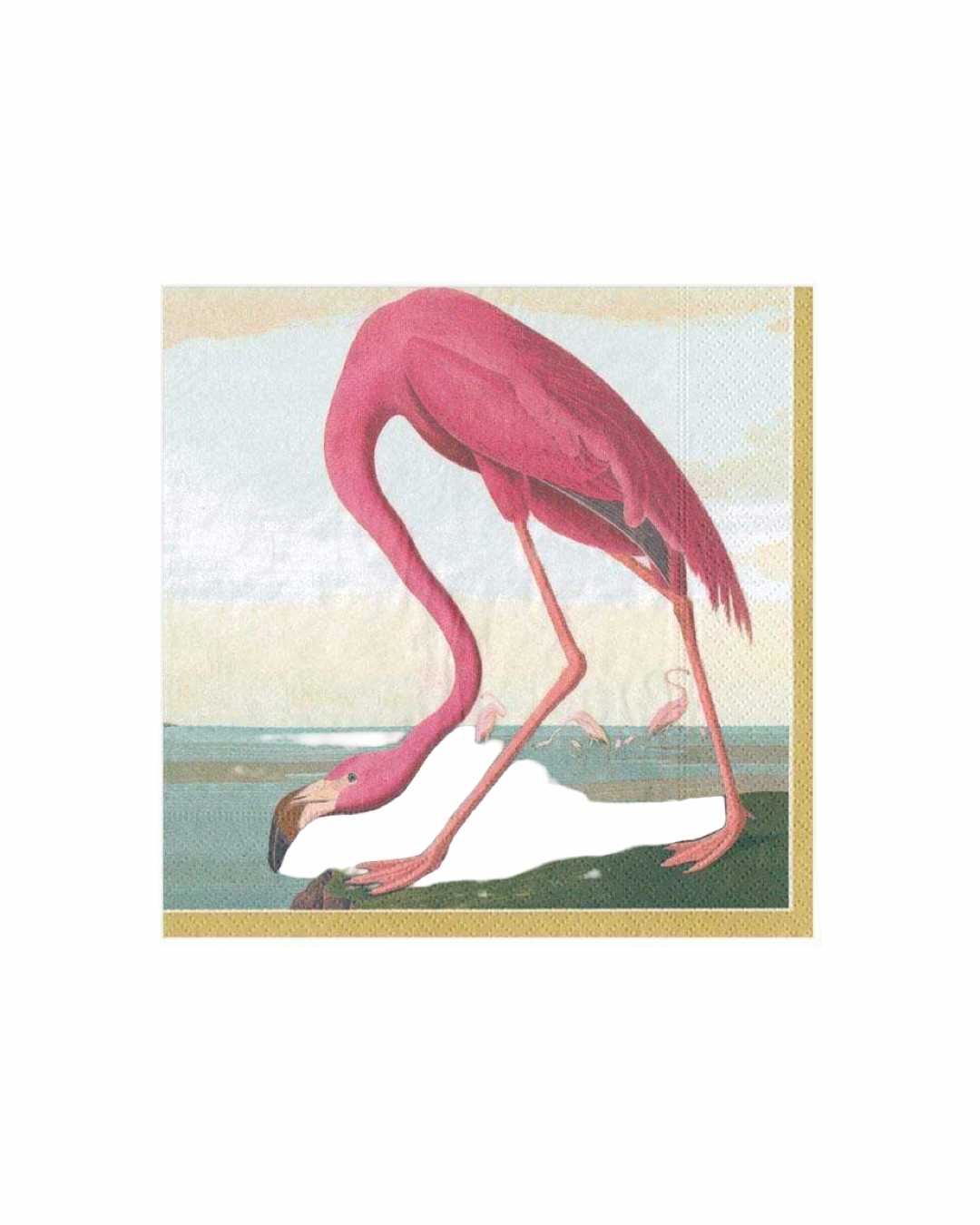 Caspari Napkin Audubon Birds, Cocktail