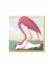 Caspari Napkin Audubon Birds, Cocktail