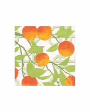 Caspari Napkin Oragne Grove, Luncheon