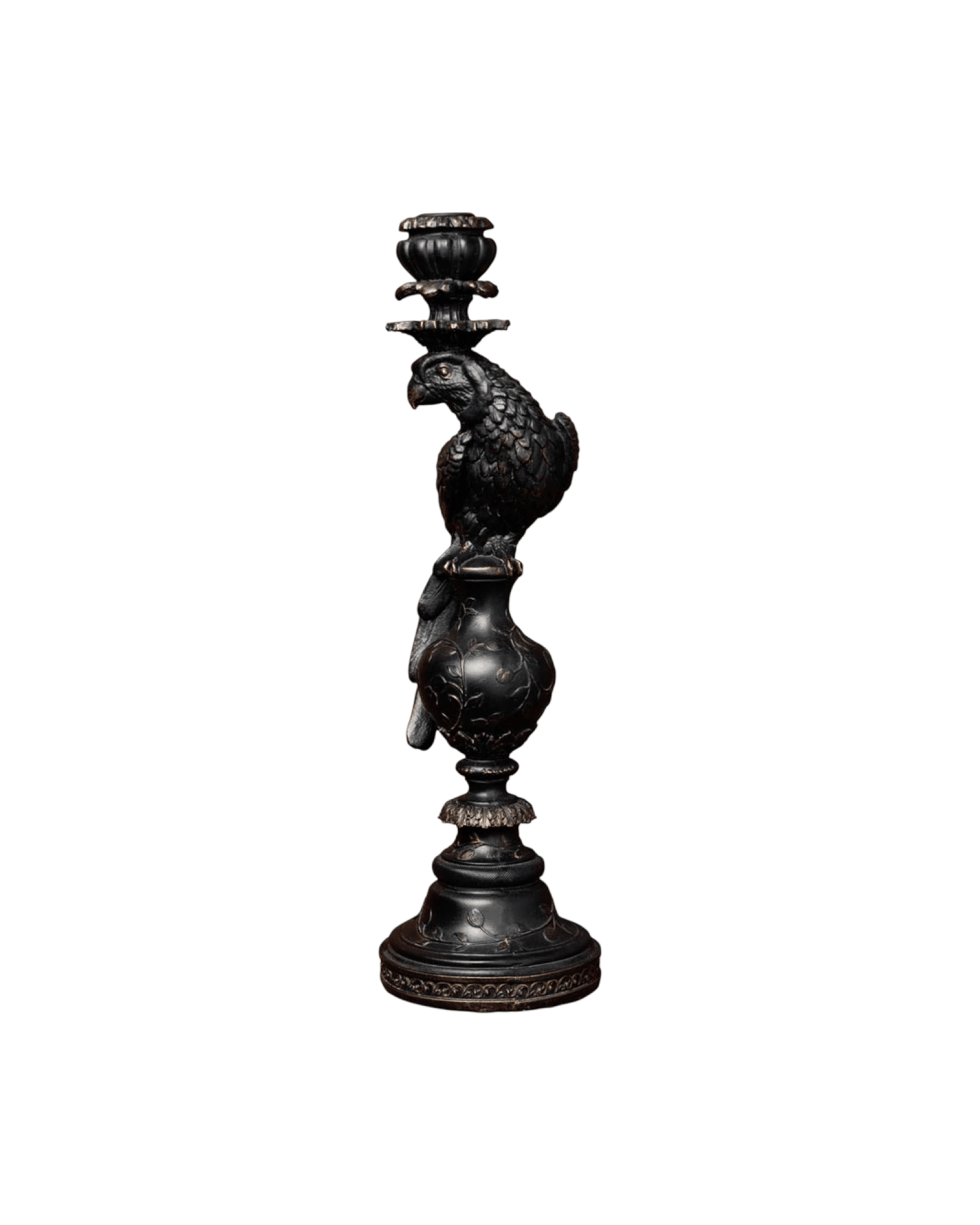 Chehoma Candelstick black parrot Mufasa