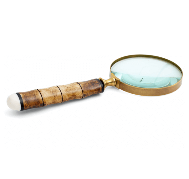 Flamant anemoon Magnifying Glass