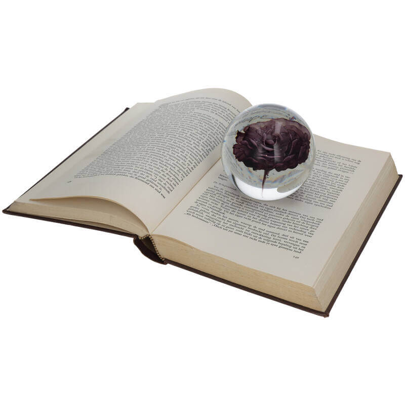 Paperweight Flower glass purple
