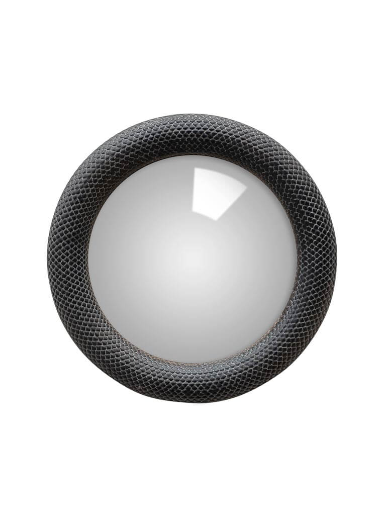 Chehoma small convex mirror black snake