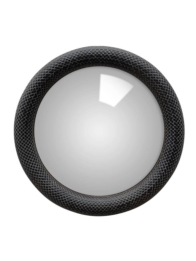 Chehoma convex mirror black snake
