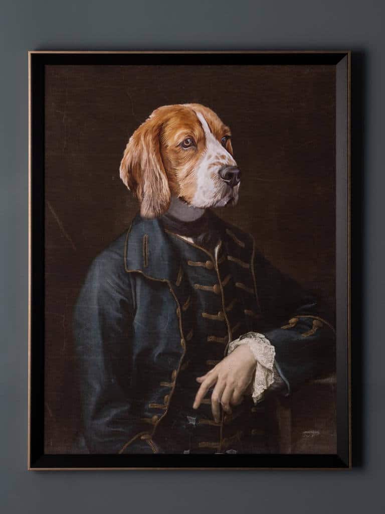 Chehoma Frame Aristdograt Irish Setter