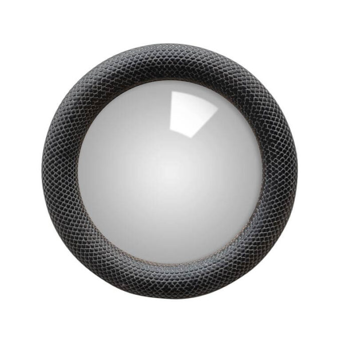 Chehoma small convex mirror black snake