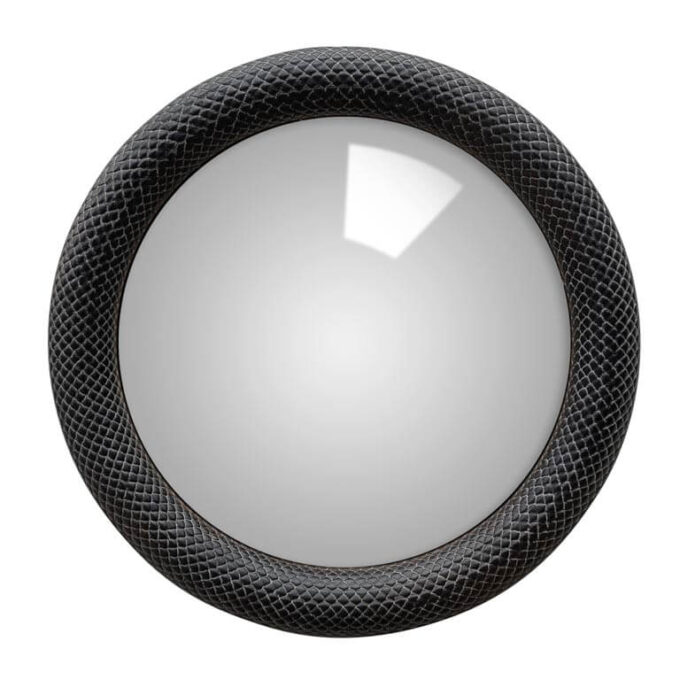 Chehoma convex mirror black snake